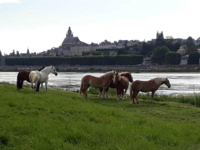 entre loire et cosson